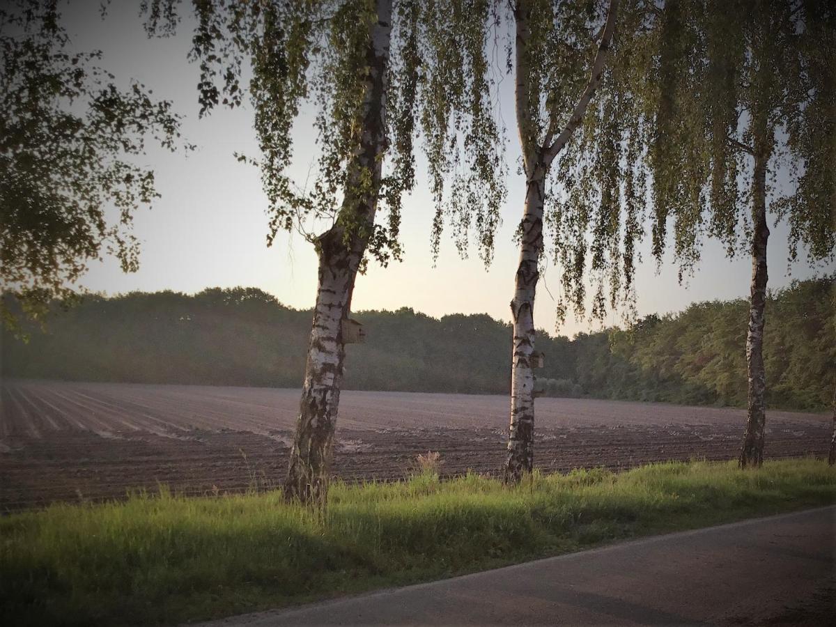 B&B Op 'T Eikenschoor Soerendonk Bagian luar foto