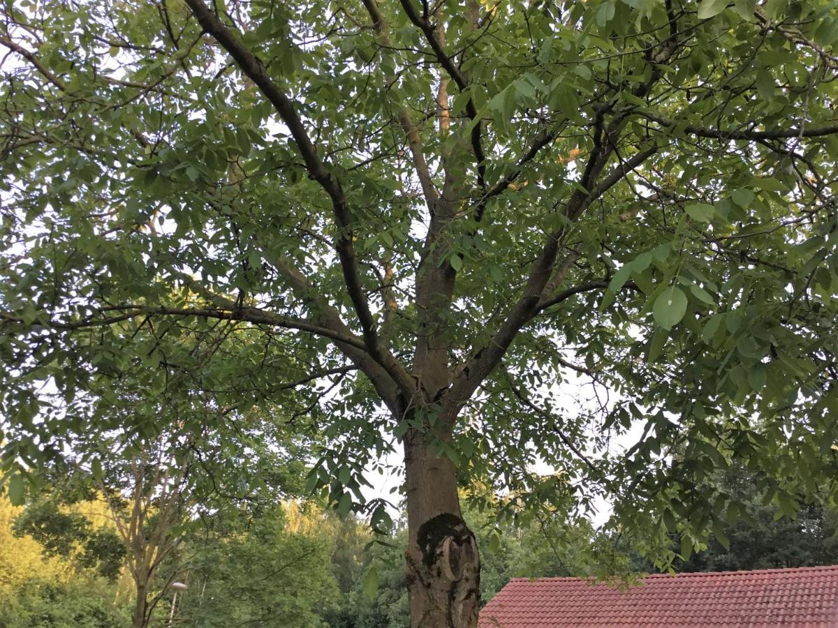 B&B Op 'T Eikenschoor Soerendonk Bagian luar foto